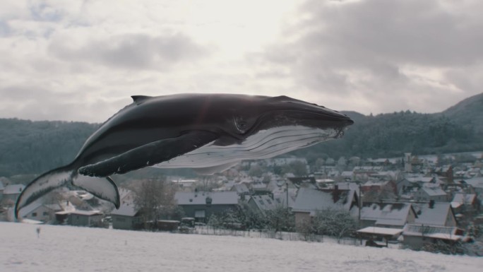 一只栩栩如生的座头鲸在一个白雪皑皑的村庄上空游泳的3D动画