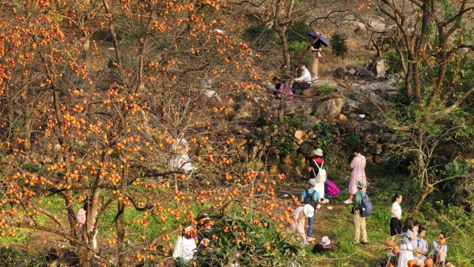 中国广东省广州市从化区吕田镇桂峰村