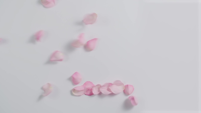 实拍4K粉色玫瑰花瓣数字2在地上被吹走