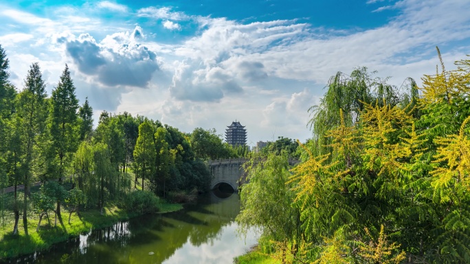 湿地公园秋色美景