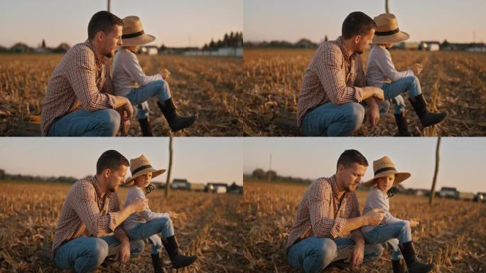 日落时分，小男孩坐在蹲在麦茬地里的父亲膝上剥玉米穗