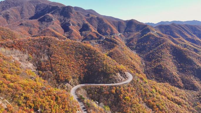 北京红叶秋季山路运输郊区109国道门头沟