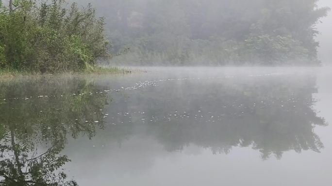 江面起雾湖水面雾气水蒸气河流意境唯美雾景