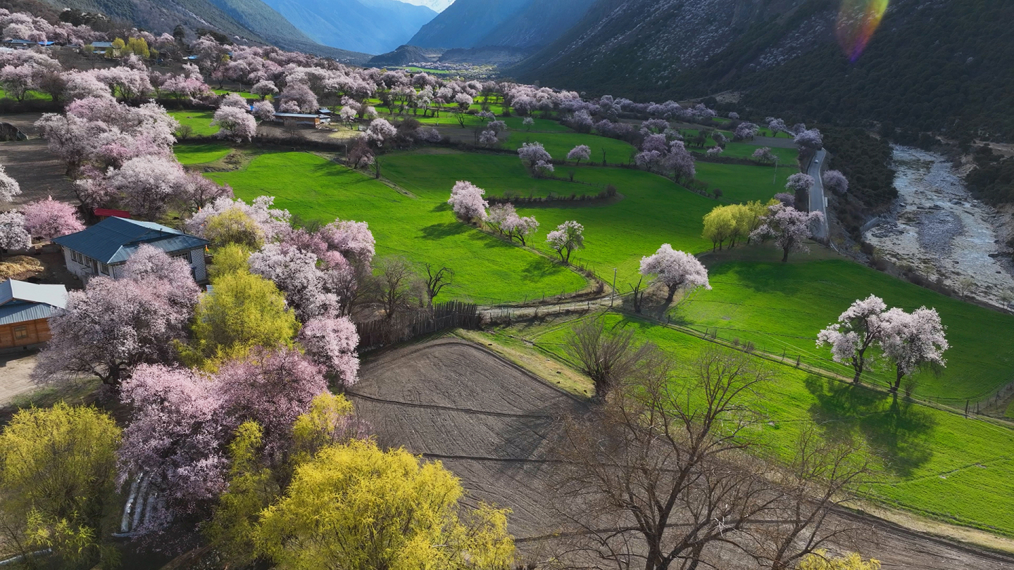 西藏林芝波密县桃花沟热西村康达村