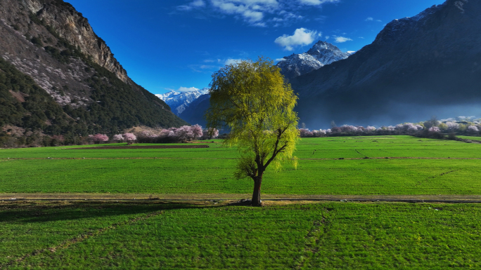 西藏林芝波密县桃花沟热西村康达村