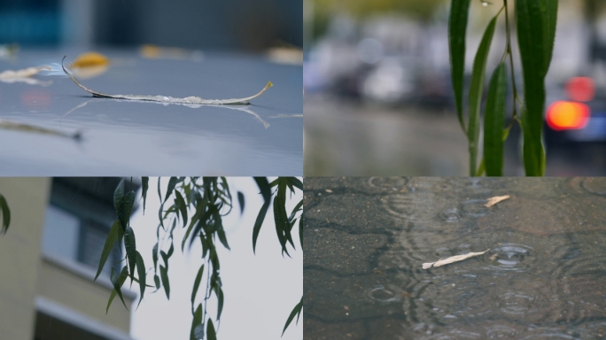 超清4K拍摄雨景