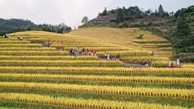 桂林龙胜龙脊梯田风景名胜区