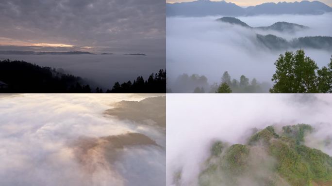 日出云海平流雾自然风光
