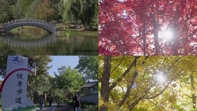 万泉公园秋季画面