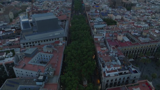 航拍的宽阔大道与树木在城镇发展。傍晚的兰布拉大街和皇家广场。西班牙巴塞罗那