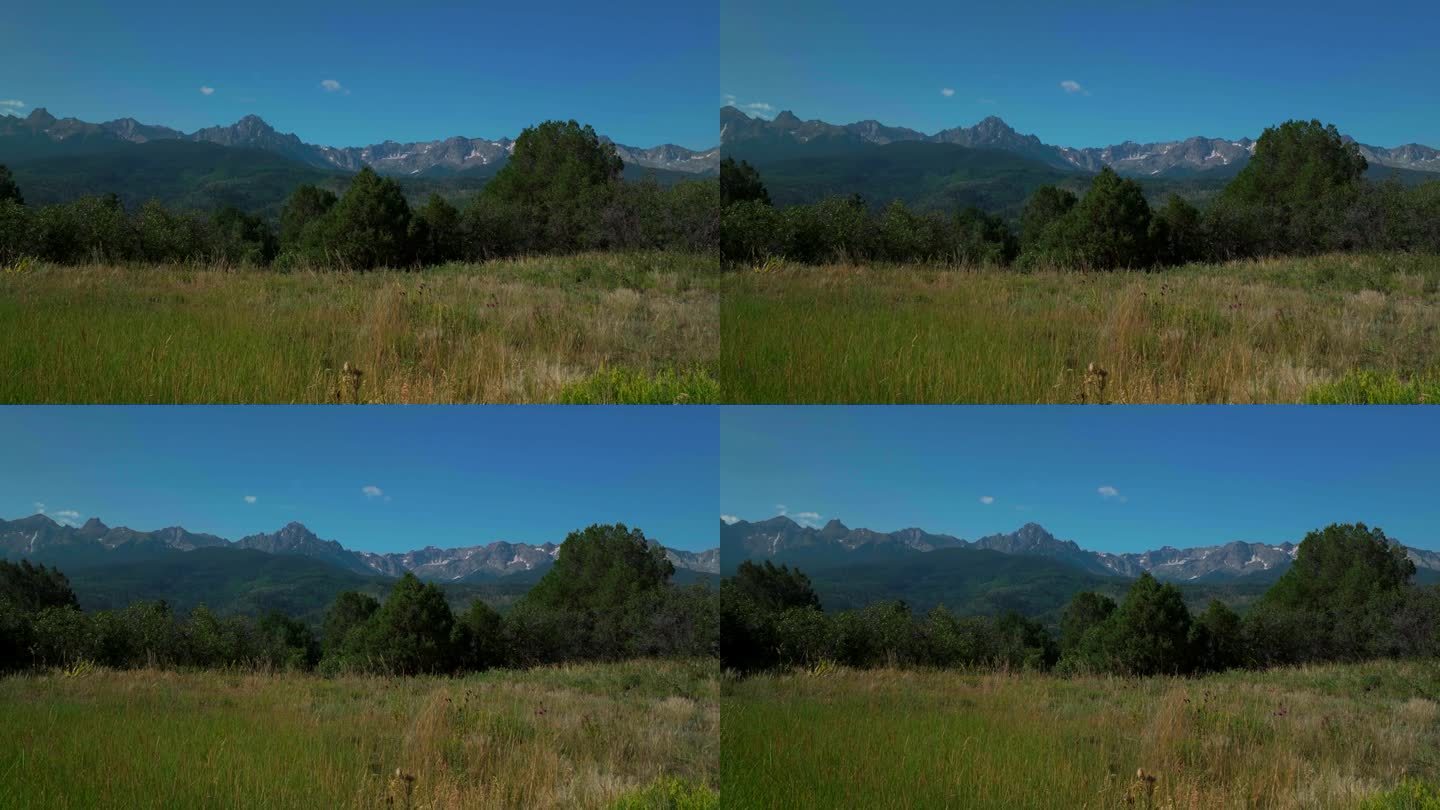 科罗拉多风景优美的夏天圣朱利安落基山脉电影风草里奇韦拉尔夫劳伦牧场山嗅嗅达拉斯山脉14er百万美元高