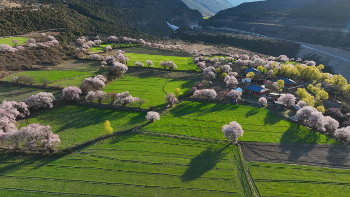 西藏波密县倾多镇桃花沟康达村热西村顶仲村