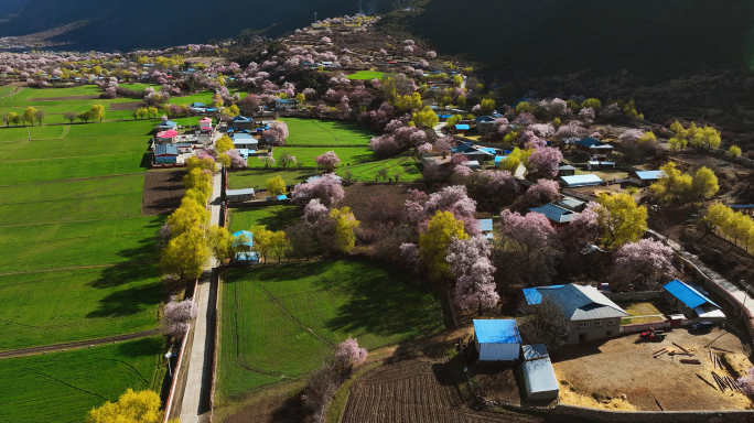 西藏波密县倾多镇桃花沟康达村热西村顶仲村