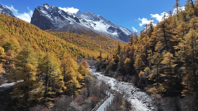 高原雪山秋景