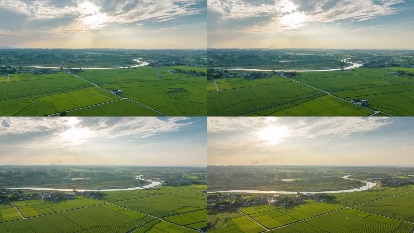 稻谷飘香 航拍思蒙河流域的稻田风景