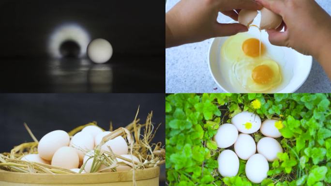 原生态农家鸡蛋