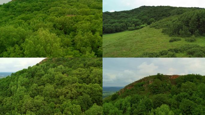 【4k】环境保护生态旅游森林草地绿色风景