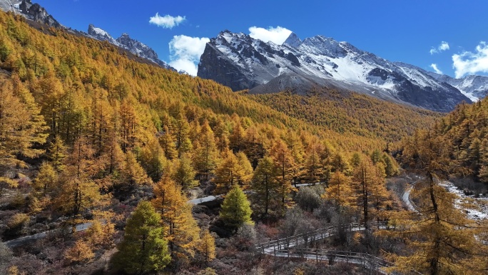 高原雪山秋景