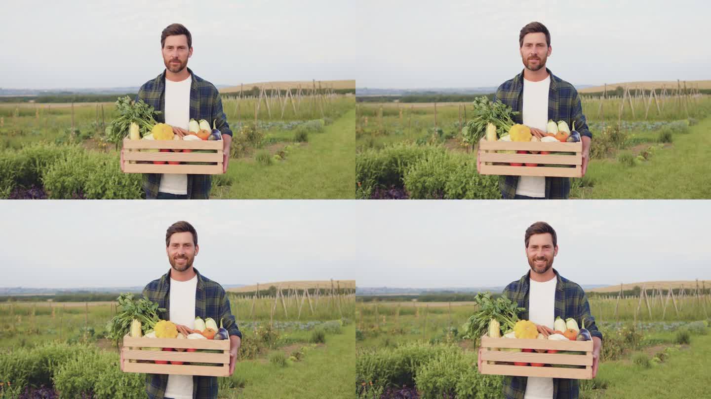 肖像英俊的白人农民拿着五颜六色的蔬菜木箱。快乐微笑的农业工作者看着相机，微笑着站在田间收获花园营养有