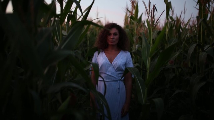 卷曲的年轻女子独自一人在玉米地里穿着裙子，在一个迷乱的迷宫和恐惧的概念。