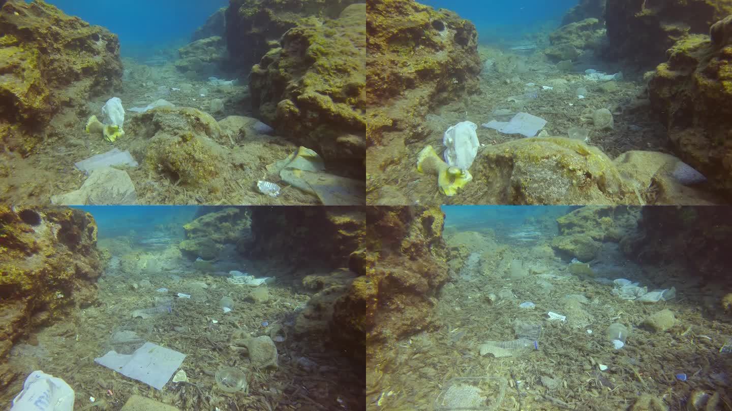 塑料碎片在海底石头之间堆积了大量