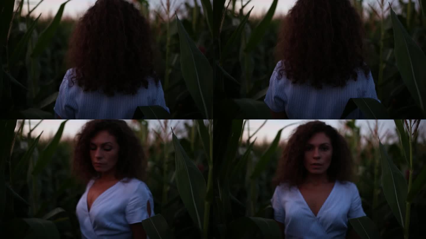 卷曲的年轻女子独自一人在玉米地里穿着裙子，在一个迷乱的迷宫和恐惧的概念。