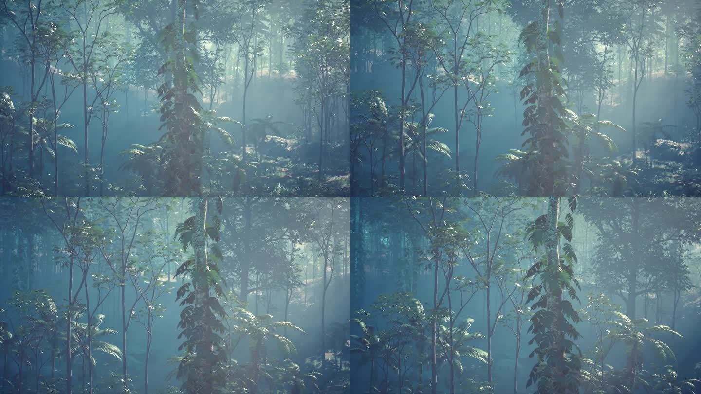 古老的树木和藤蔓被湿气和雾气覆盖的神秘景象