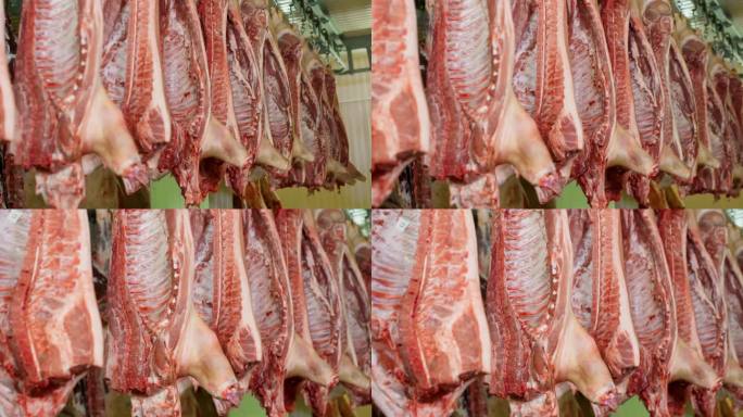 在食品厂肉店的冰箱里一排排挂满猪的尸体。