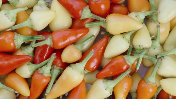 迷迭香品种的各种迷你辣椒的自上而下的视图，特写镜头与滑块运动。
