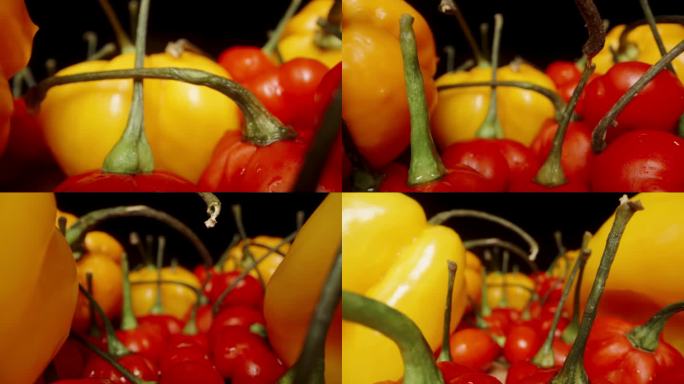 黄色哈瓦那辣椒和红色迷你辣椒的火鸡之星品种。多莉滑块极端特写。