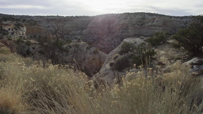 从灌木丛中升起的三角帆揭示了巨大的岩石峡谷，埃斯卡兰特，犹他州慢动作