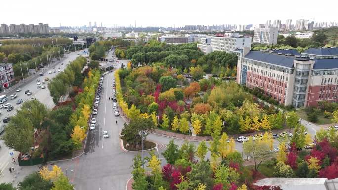 沈阳农业大学秋季航拍