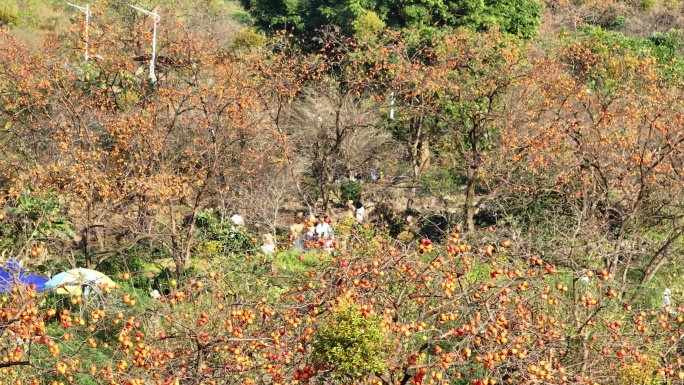 中国广东省广州市从化区吕田镇圭峰村
