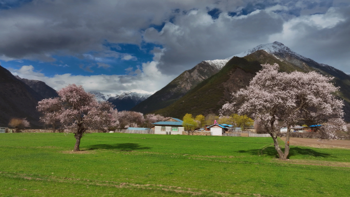 西藏林芝波密桃花沟顶仲村