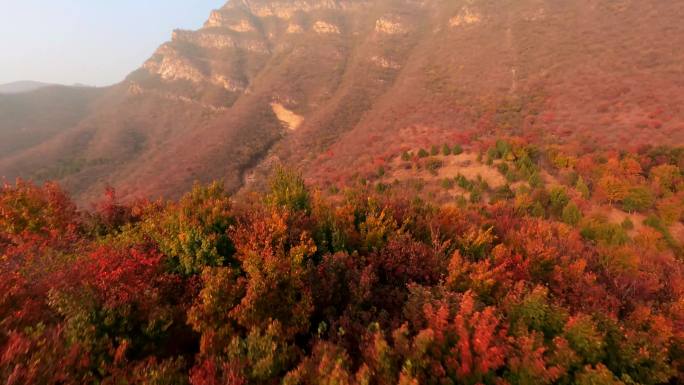 穿越机航拍北京红叶秋山(4K50帧)