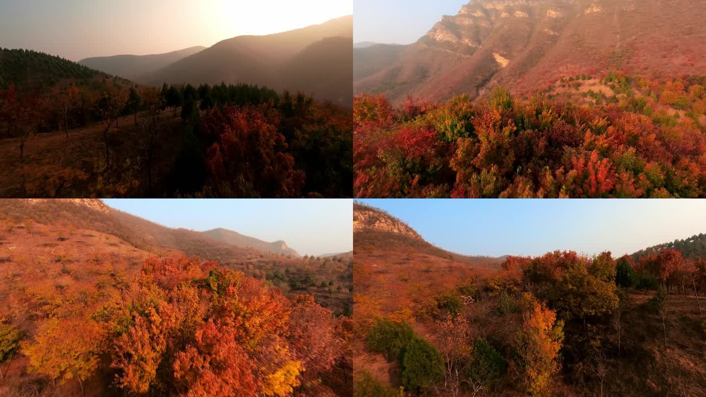 穿越机航拍北京红叶秋山(4K50帧)