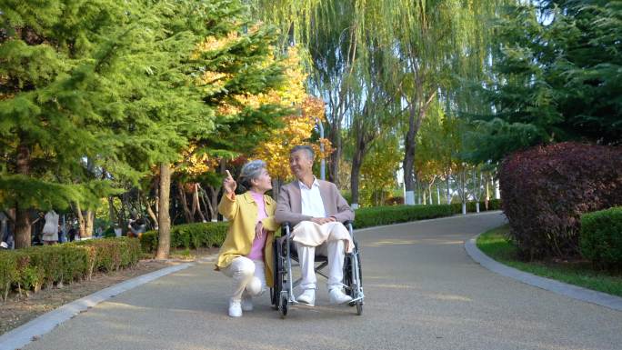 推轮椅在公园的老人 老人轮椅