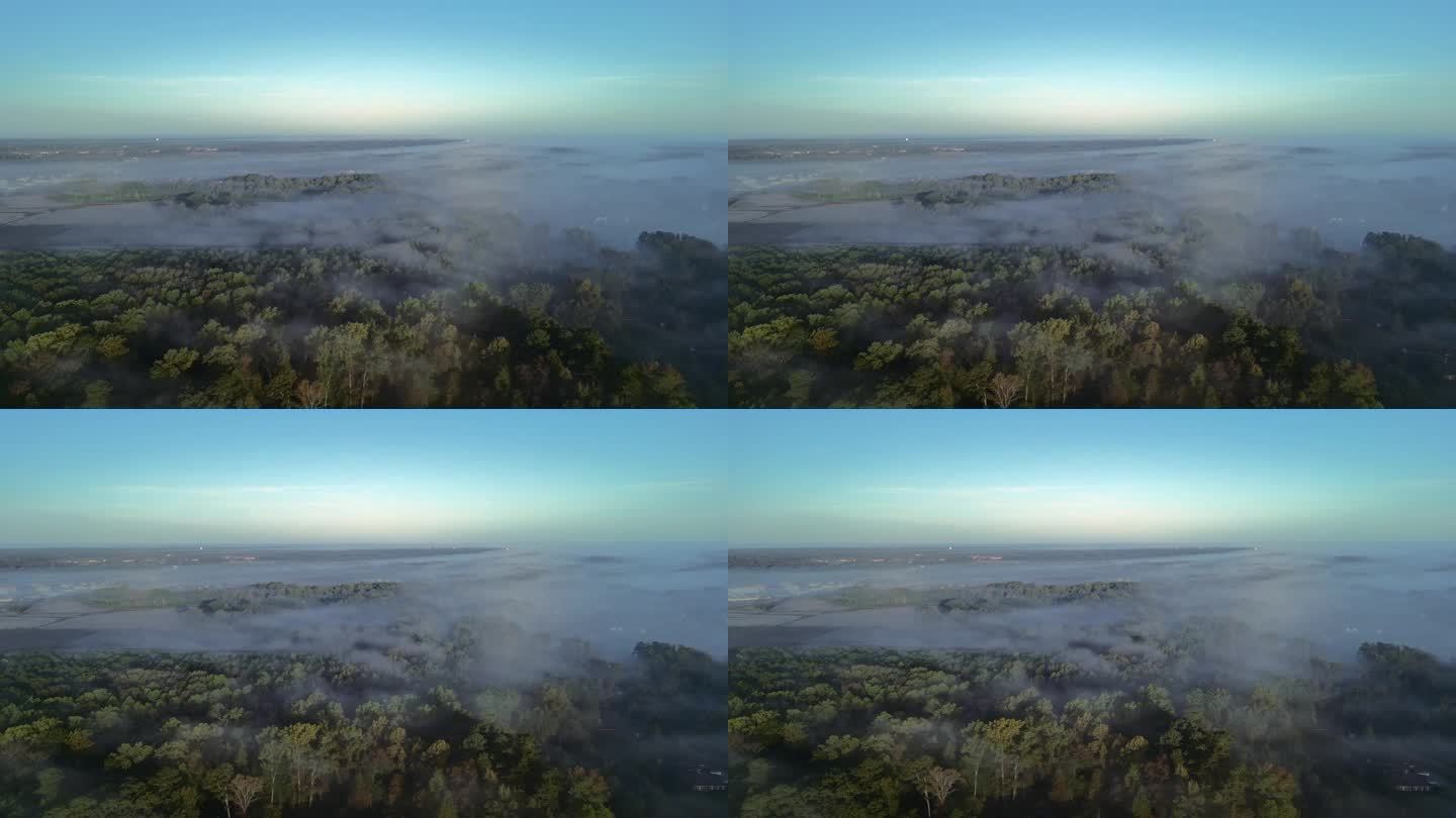 晨雾-棉花田-树顶-格林维尔-轨道
