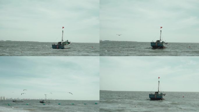 渔船海鸥