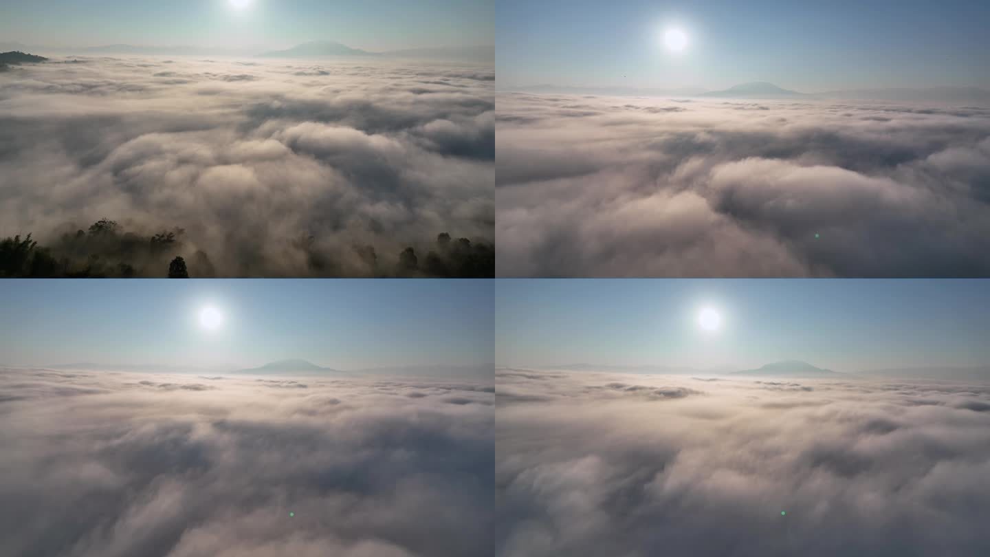 景迈山-穿越云海震撼视角