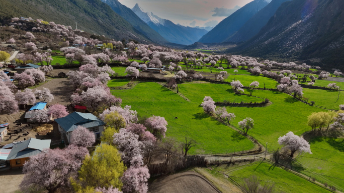 西藏林芝波密县桃花沟康达村