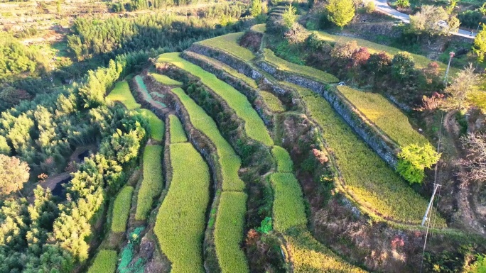 杭州临安指南村