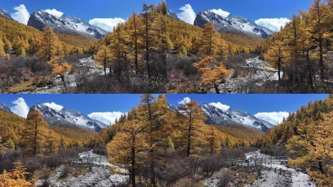 高原雪山秋景