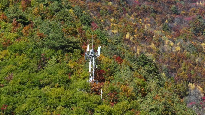 秋日山林中的电信塔