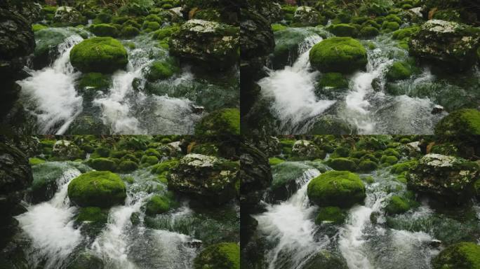 萨瓦波欣卡河在波欣卡森林中流过绿色的苔藓覆盖的岩石