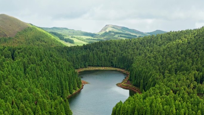 电影空中无人机拍摄的火山湖在亚速尔群岛-葡萄牙。高高的青松环绕着湖。背景是风景如画的风景。