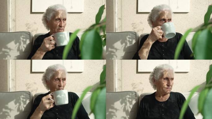 老太太喝着茶，望着窗外
