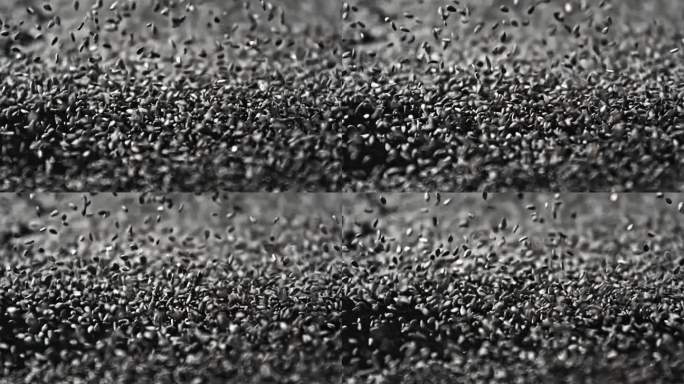 芝麻黑芝麻芝麻特写