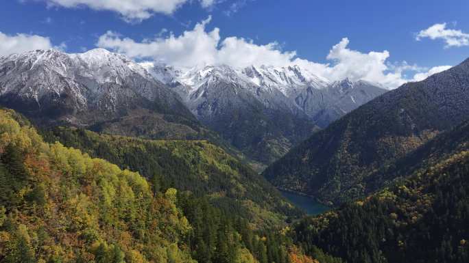 雪山彩林秋景航拍