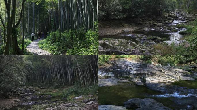 【合集】山涧溪流森林竹林风景